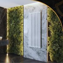 Vertikalus radiatorius dekoratyvinis plokštelinis radiatorius Granitan Fero 160x60cm 1036W baltas