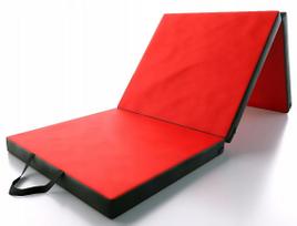 Gimnastikos ir reabilitacijos čiužinys 195x80