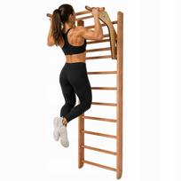 Gimnastikos sienelė su skersiniu ir rankena DIP, 240 cm