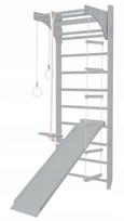Gimnastikos kopėtėlės su čiuožykla GREY, 220 cm