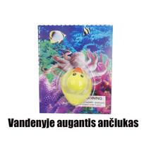 Vandenyje augantis ančiukas