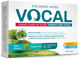 VOCAL pastilės su mėtomis ir vitaminu C, 24 vnt. Ha Mint
