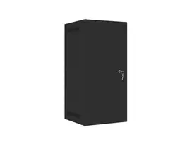 Lanberg WF10-2312-00B 10 colių sieninė spinta 12U, 280x310x603 mm, metalinės durys, IP20, maks. apkrova 20 kg, išardoma, juoda