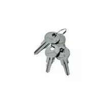 Priedas spintai Triton RAX-MS-X10-X1