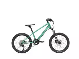 VAAST Y/1 kalnų dviratis 20 colių Gloss Teal – jaunimo MTB su super magnio rėmu