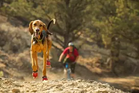 Ruffwear Grip Trex šunų batai - Obsidian Black, XS (pora)