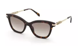 ZADIG & VOLTAIRE moteriški SZV451 Havana acetatiniai akiniai nuo saulės su gradientiniais rudais lęšiais, 52/19/140 mm