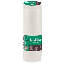 Žvakės įdėklas Bolsius, 110 h, balta sp.