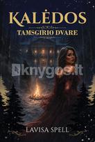 Kalėdos Tamsgirio dvare - Lavisa Spell