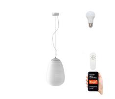 Immax NEO 07066L - LED RGBW reguliuojamas šviestuvas COCONO 1xE27/8,5W/24 cm