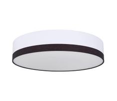 Globo 15385D2 - LED Reguliuojamas lubinis šviestuvas MAGGY LED/40W/230V