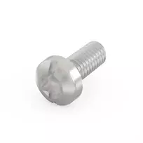 SCHROFF SCHROFF cilindro galvutės varžtas, Torx, cinkuotas plienas, savaime užsifiksuojantis sriegis, M2,5 x 6 mm