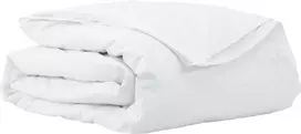 2-in-1 Antklodė Balta 200 x 220 cm Plunksna