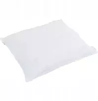 Pagalvė su pagalve 2 pcs Balta 40 x 40 cm Plunksna