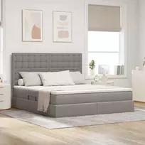Lova su daiktų laikymo vieta ir čiužiniu Taupe 160 x 200 cm