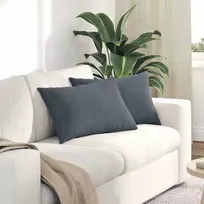 Sofa Pagalvės 2 vnt. Tamsiai pilka 60 x 40 cm Kordūrinis audinys