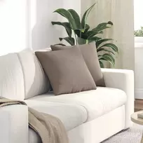 Sofa Pagalvės 2 pcs Taupe 45 x 45 cm audinys