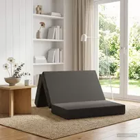Čiužinys Sulankstomas Sofos Lova 100 x 67 x 45 cm Tamsiai pilka