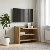 TV staliukas Televizoriaus spintelė 60 x 33 x 47 cm Artisano ąžuolo