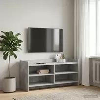 TV staliukas Televizoriaus spintelė 100 x 33 x 47 cm Betono pilka