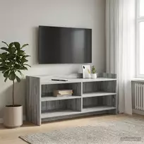 TV staliukas Televizoriaus spintelė 100 x 33 x 47 cm Pilka Sonoma