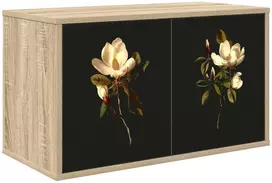TV staliukas Sieninis televizoriaus stovas BREMEN 69 x 33 x 40 cm