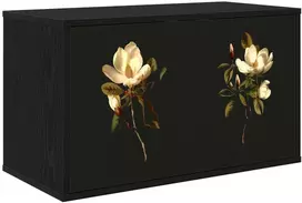 TV staliukas Sieninis televizoriaus stovas BREMEN 69 x 33 x 40 cm
