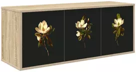 TV staliukas Sieninis televizoriaus stovas BREMEN 102 x 33 x 40 cm