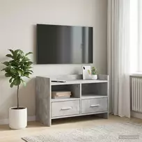 TV staliukas Televizoriaus spintelė 71,5 x 33 x 47 cm Betono pilka