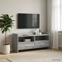 TV staliukas Televizoriaus spintelė 100 x 33 x 47 cm Pilka Sonoma