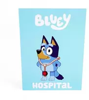 Bluey Rolebook ligoninė