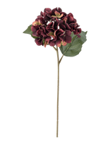 Bloomingville - Hydrangea Stem - Džiovintos gėlės - Violetinė