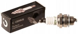 Žvakė Cedrus BPM76A, 19 mm raktui, 14 mm sriegio