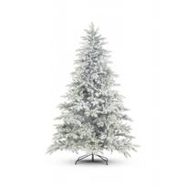 Dirbtinė eglutė ALBERA FROSTED 240 cm