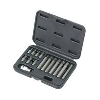 Antgalių rinkinys TORX 15vnt.