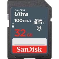 SanDisk Ultra SDXC atminties kortelė SDSDUNR-256G-GN3IN, 256GB, 100MB/s, UHS-I, U1, V10, Class 10, atspari smūgiams