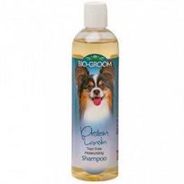 BIO-GROOM Šampūnas Protein Lanolin