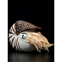 Mielas Žavingas 20x18x9CM Nutilo Pliušinis Žaislas Kamerinis Nutilas Nautiloidea Modelis Jūros Gyvūnija Iškamšinti Gyvūnai Minkšti Lėlės Dovana 20x18x9CM white