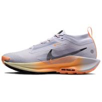 Nike Pegasus Trail 5 Running Shoes Women's Gray FQ0912-011 41 pilka