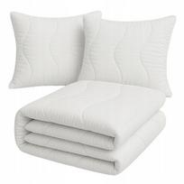Antklodė visiems sezonams su 2 pagalvėmis 70x80 cm, 220x200 cm, balta, Antklodė visiems sezonams su 2 pagalvėmis 70x80 cm, 220x200 cm, balta