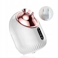 Veido garintuvas NANO IONIC 3in1 su šaltu, šiltu ir karštu garu, 240 ml