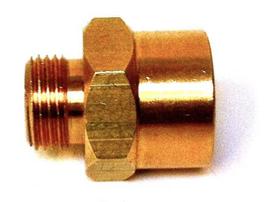 Adapteris deguoniui Kemper