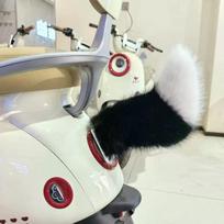 Automobilio elektrinis nuotolinio valdymo pultelis Uodegos judinimas Purtyti uodegą Garso nuotolinio valdymo pultelis Mielas siūbuojantis pliušinis uodegos Automobilio dekoracija black