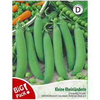 Žirniai apvalieji Kleine Rheinlanderin 20g