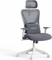 Žaidimų ir biuro kėdė su juosmens atrama, ergonomiška atrama galvai, pilka