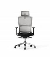 Ergonominė biuro kėdė FLEXISPOT BS2, pilka, reguliuojamas galvos atlošas, 3D porankiai