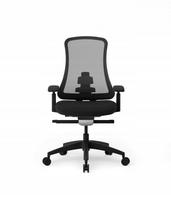 Ergonominė biuro kėdė FLEXISPOT Gabriel, juodas tinklelis, 4D reguliavimas