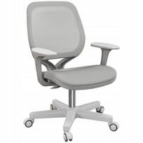 Ergonominė biuro kėdė, pilka, 55 x 48 x 82,5–94,5 cm