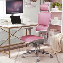 Ergonomiška biuro kėdė Ergohuman 2 Elite, sukamasis mechanizmas, rožinė
