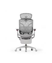 Ergonominė biuro kėdė Flexispot Apollo su 4D porankiais, galvos atrama ir pakoju, pilka